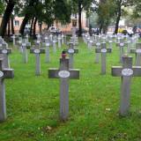 torun08.jpg