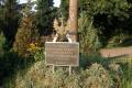 miejsca:1920:lubelskie:neple:2009-08-10:p8101887.jpg