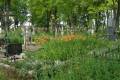 miejsca:1920:lubelskie:wierzbica:2010-07-09:p7092228.jpg