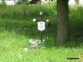 miejsca:1920:mazowieckie:klukowo:2009-07-04:klukowo1.jpg