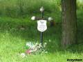 miejsca:1920:mazowieckie:klukowo:2009-07-04:klukowo20.km002a.jpg