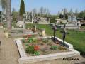 miejsca:1920:mazowieckie:maluzyn:2008-04-26:maluzyn20.km001.jpg