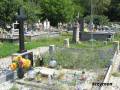 miejsca:1920:mazowieckie:maluzyn:2016-07-01:maluzyn20.km002b.jpg