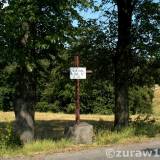 Kończyce Małe. Krzyż Cezarego Hallera.
