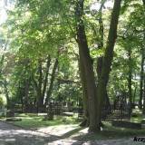 Widok na groby niemieckie i polskie.