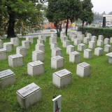 torun03.jpg