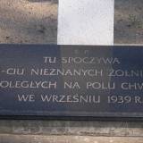 p4280135.jpg