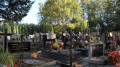 miejsca:1939:lodzkie:dobra:2010-10-03:pa032306.jpg