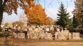 miejsca:1939:lodzkie:lodz:2011-10-30:pa305667.jpg