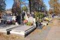 miejsca:1939:lodzkie:pawlikowice:2010-10-23:pa233208.jpg