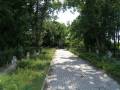 miejsca:1939:lodzkie:waliszew:2008-06-07:p6071941.jpg