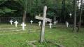 miejsca:1939:lubelskie:dabrowa_tarnawacka:2011-06-25:p6259324.jpg