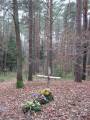 miejsca:1939:mazowieckie:stara_dabrowa:2011-11-22:img_5945.jpg