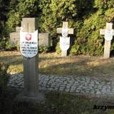 wiazowna39.km3.jpg