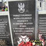 zambrow39.mp02.jpg