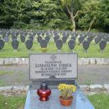 alim2701.jpg