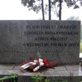 torun02.jpg