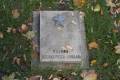 miejsca:1945:lodzkie:rawa_mazowiecka:2011-10-09:pa090083.jpg