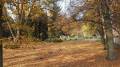miejsca:1945:warminsko-mazurskie:olsztyn:2013-10-16:pa166593.jpg