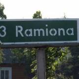 9207_ramiona.jpg