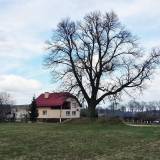 20180414_162126.jpg