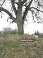 miejsca:pomnikiplebiscytowe:warminsko-mazurskie:elgnowo:2018-04-14:img_20180414_162404.jpg